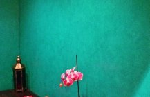 Ванная комната орхидея